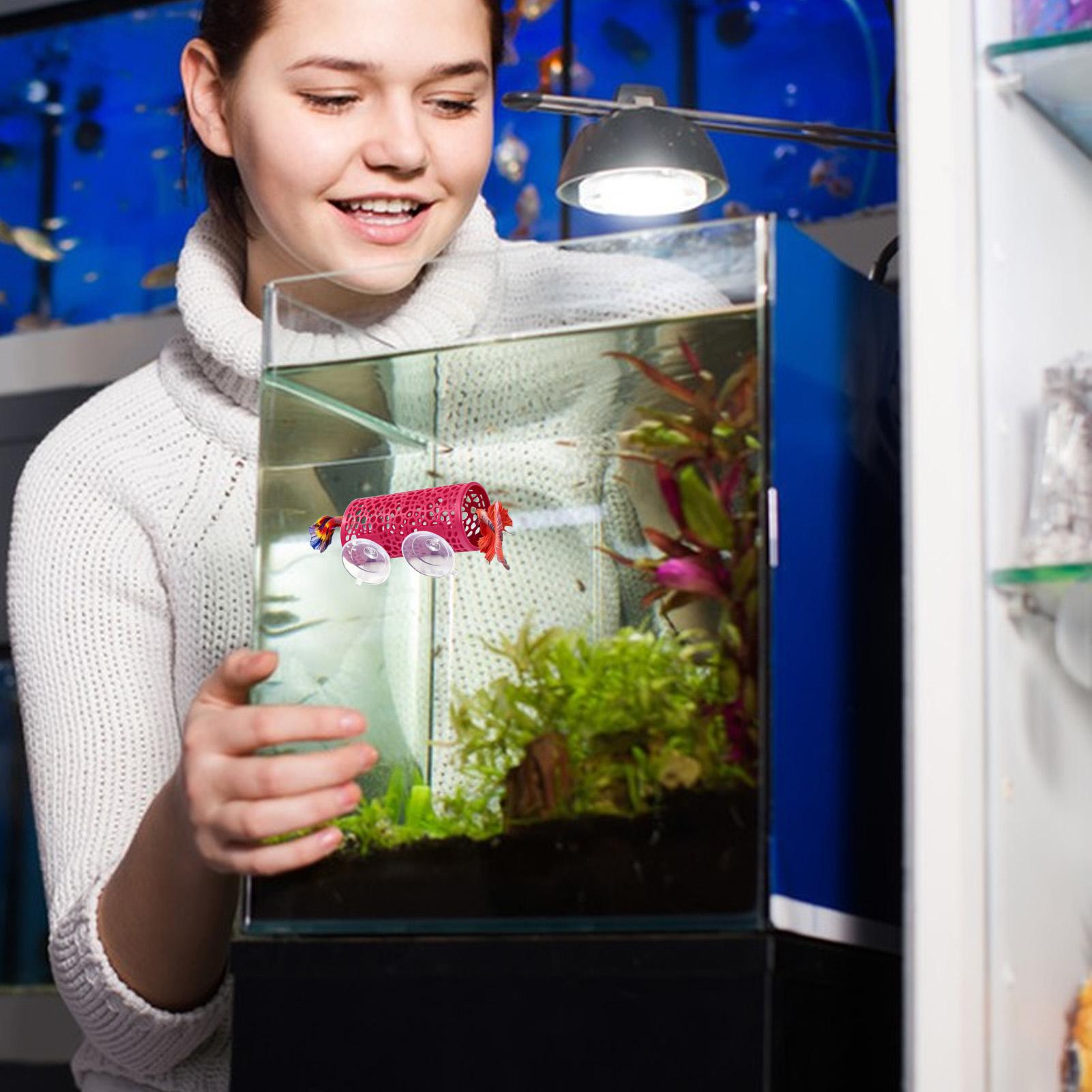 Betta Fish Tank - Tempat Persembunyian Ikan Betta, Ornamen Terowongan