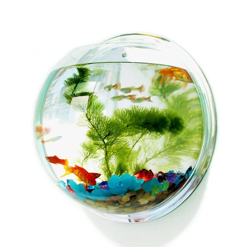 Betta Fish Tank - Pinsjar Akrilik Mangkuk Ikan Hiasan Dinding