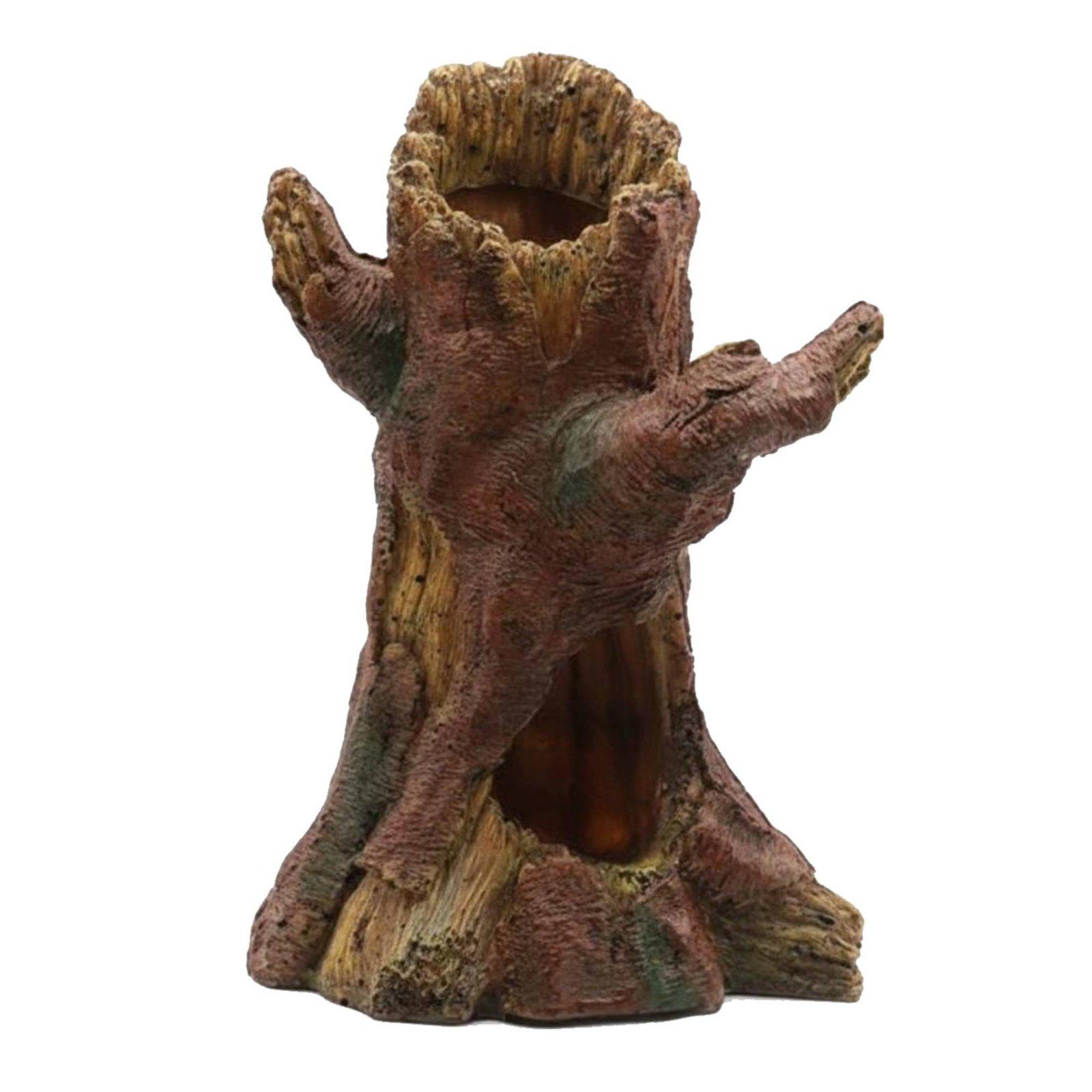 Aquarium Decor - Dekorasi Lanskap Akuarium, Dekorasi Akuarium, Tempat