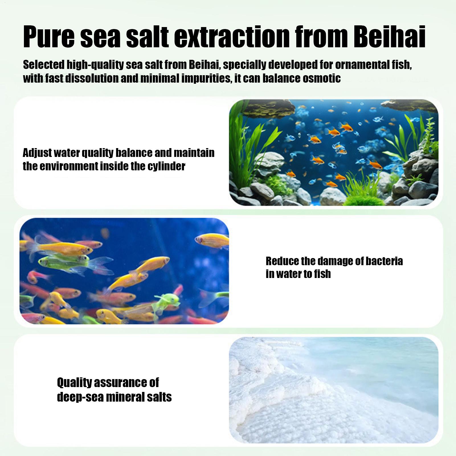 Tablet Pembersih Air Akuarium  - Betta Fish Tank ulasan dan harga