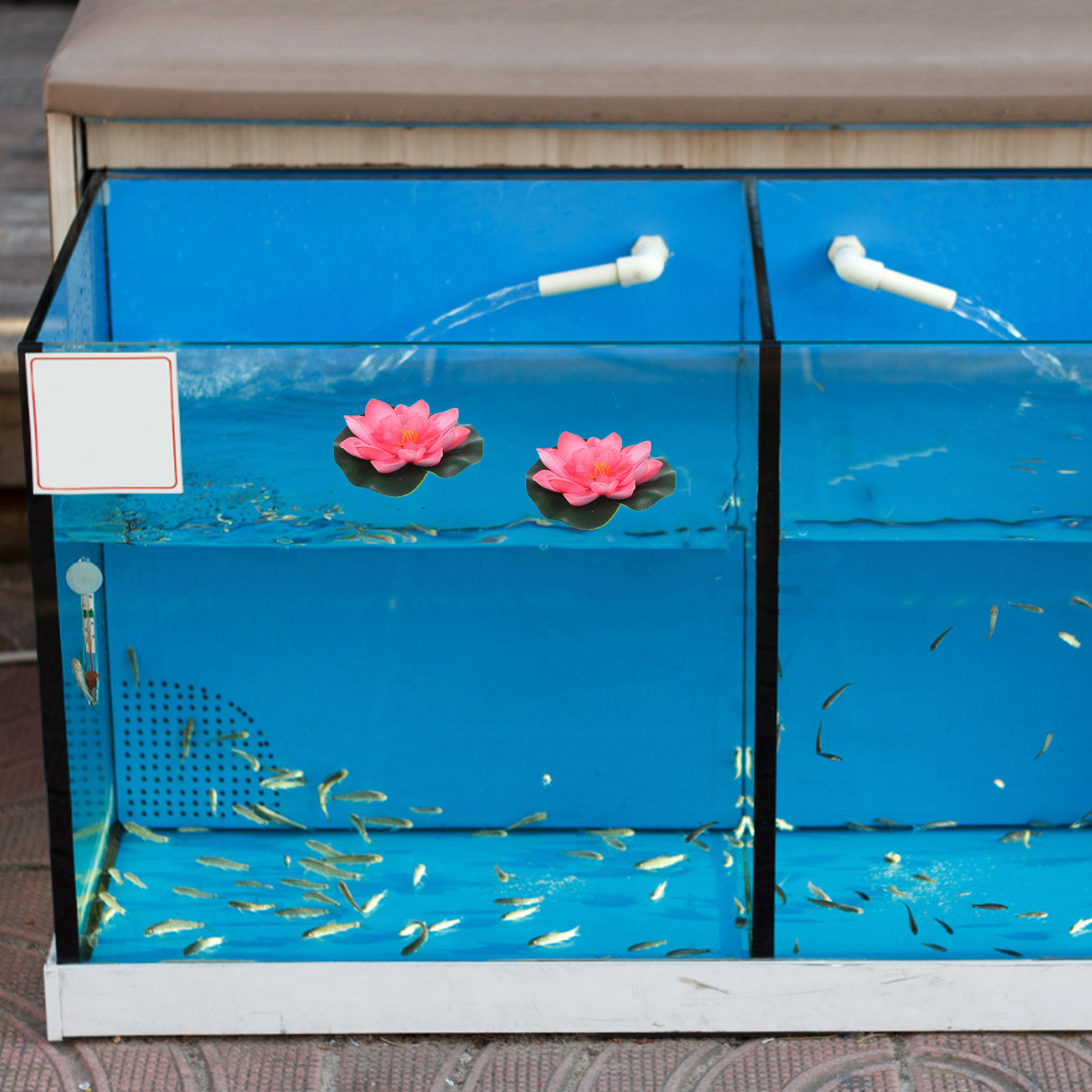 12 Buah Bunga Air Buatan yang  - Aquarium Decor ulasan dan harga