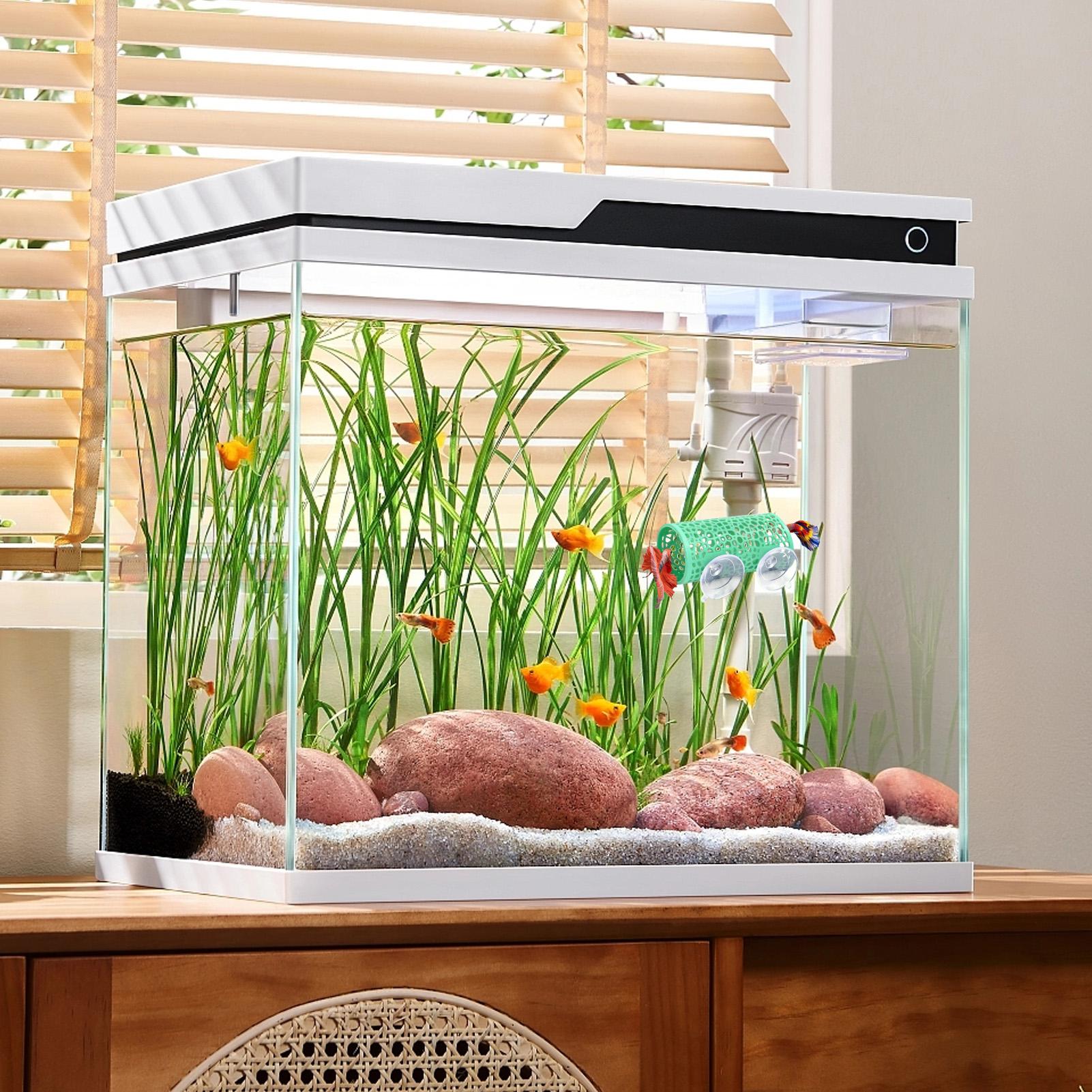 Tempat Persembunyian Ikan Bett - Betta Fish Tank ulasan dan harga