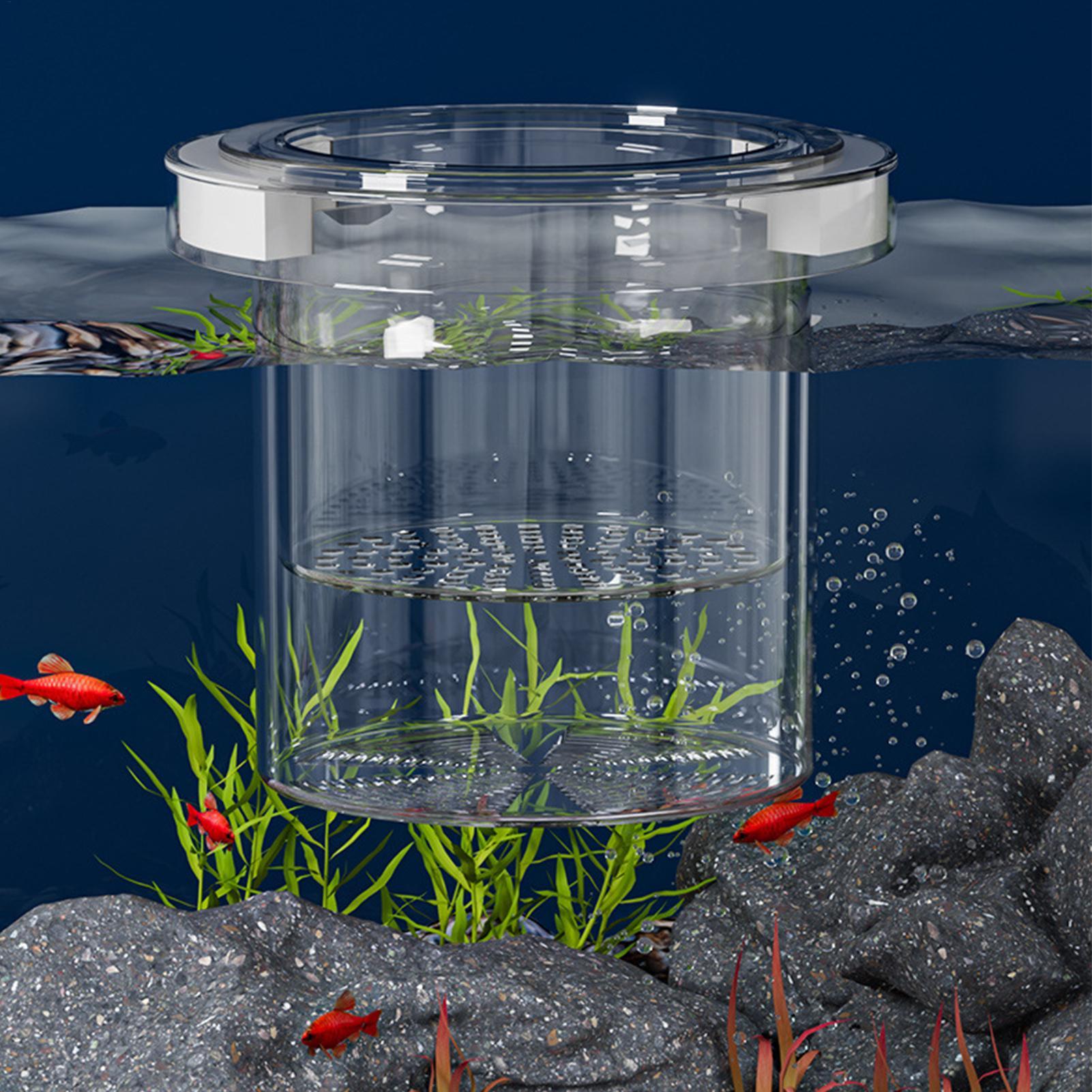 Kotak Isolasi Pembiakan Ikan T - Betta Fish Tank ulasan dan harga