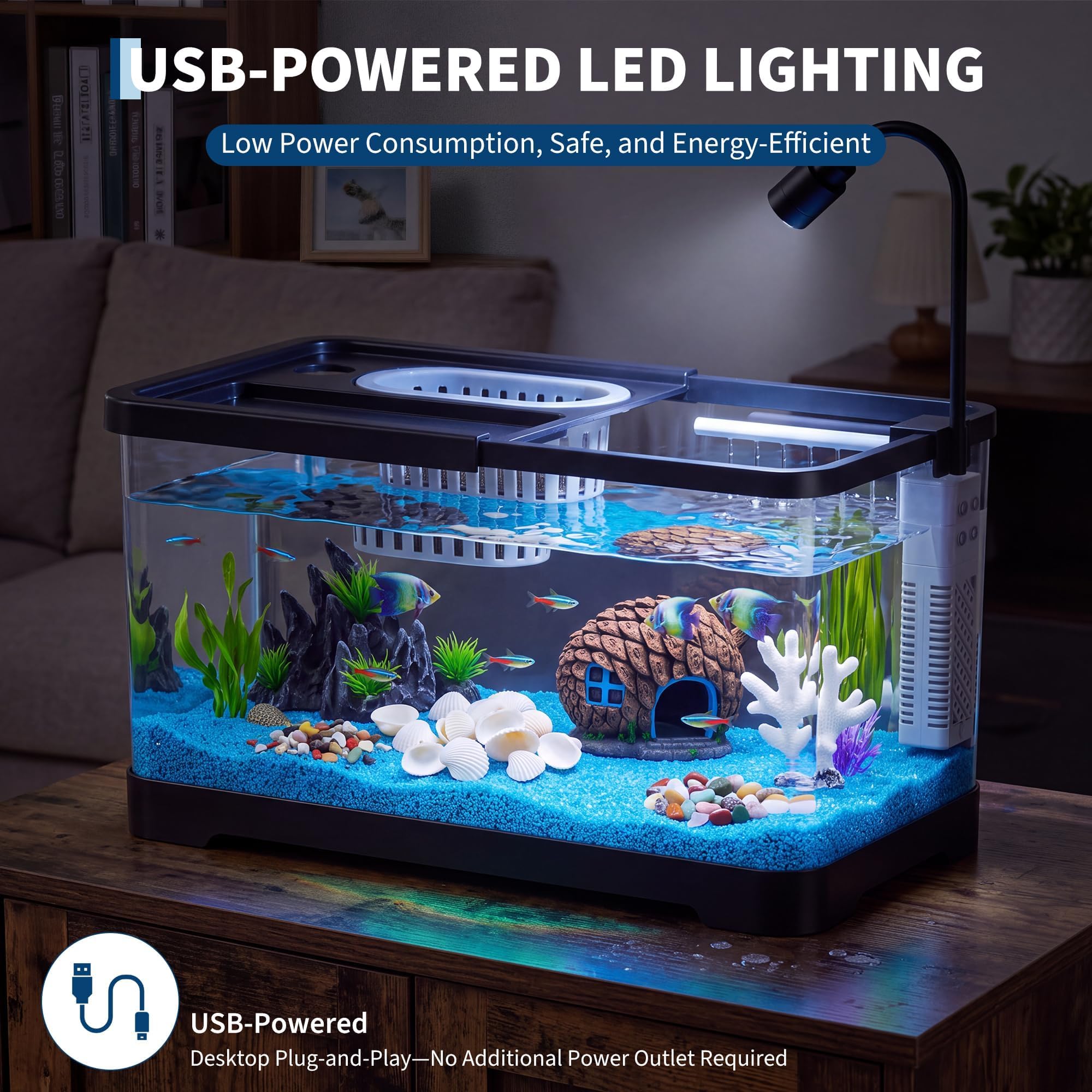 Kit Pemula Akuarium Ikan Denga - Betta Fish Tank ulasan dan harga