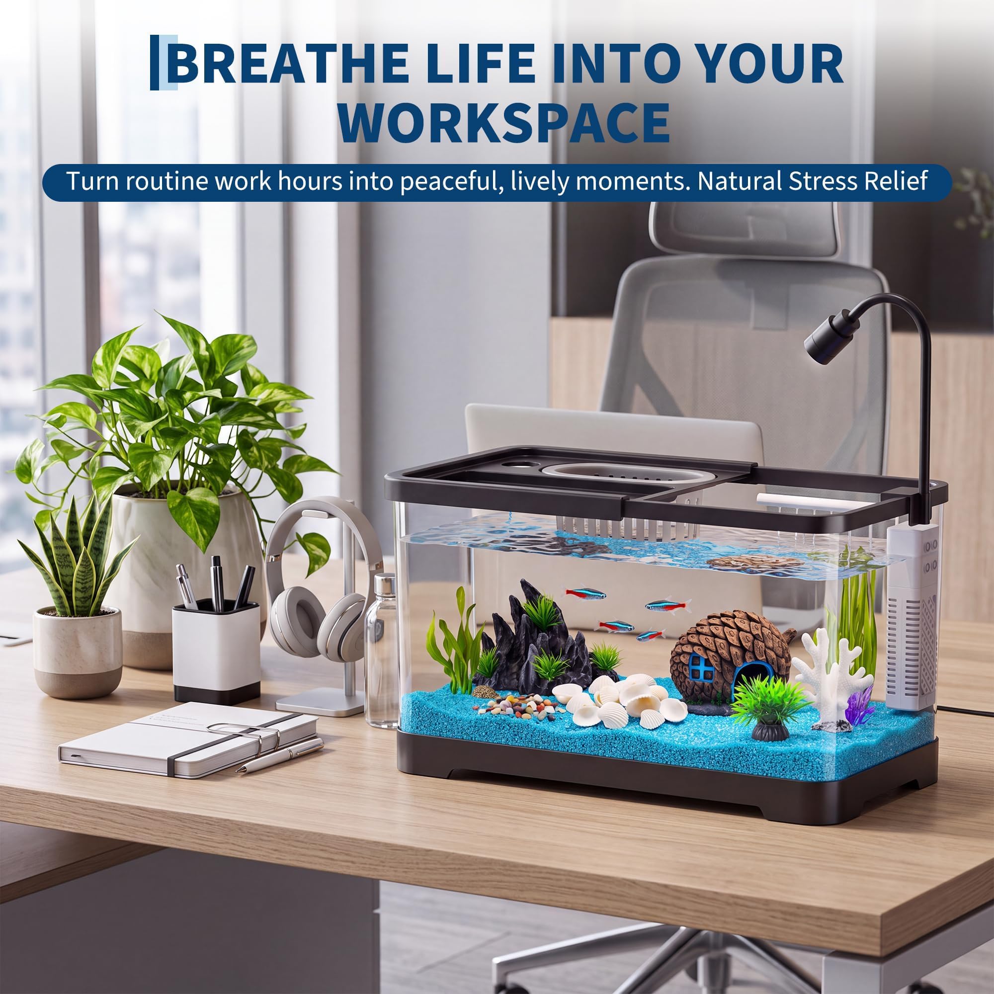 Kit Pemula Akuarium Ikan Denga - Betta Fish Tank ulasan dan harga
