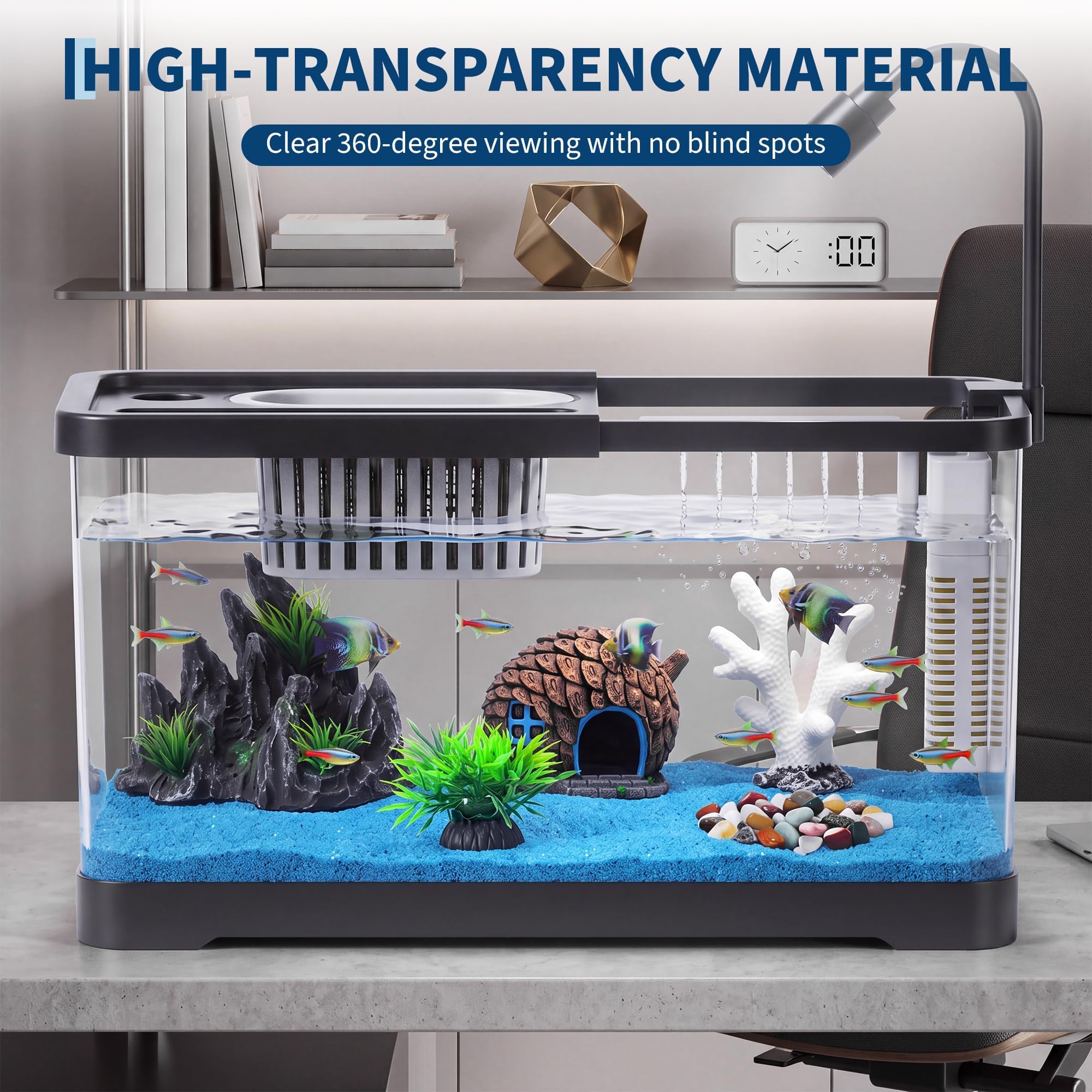 Kit Pemula Akuarium Ikan Denga - Betta Fish Tank ulasan dan harga