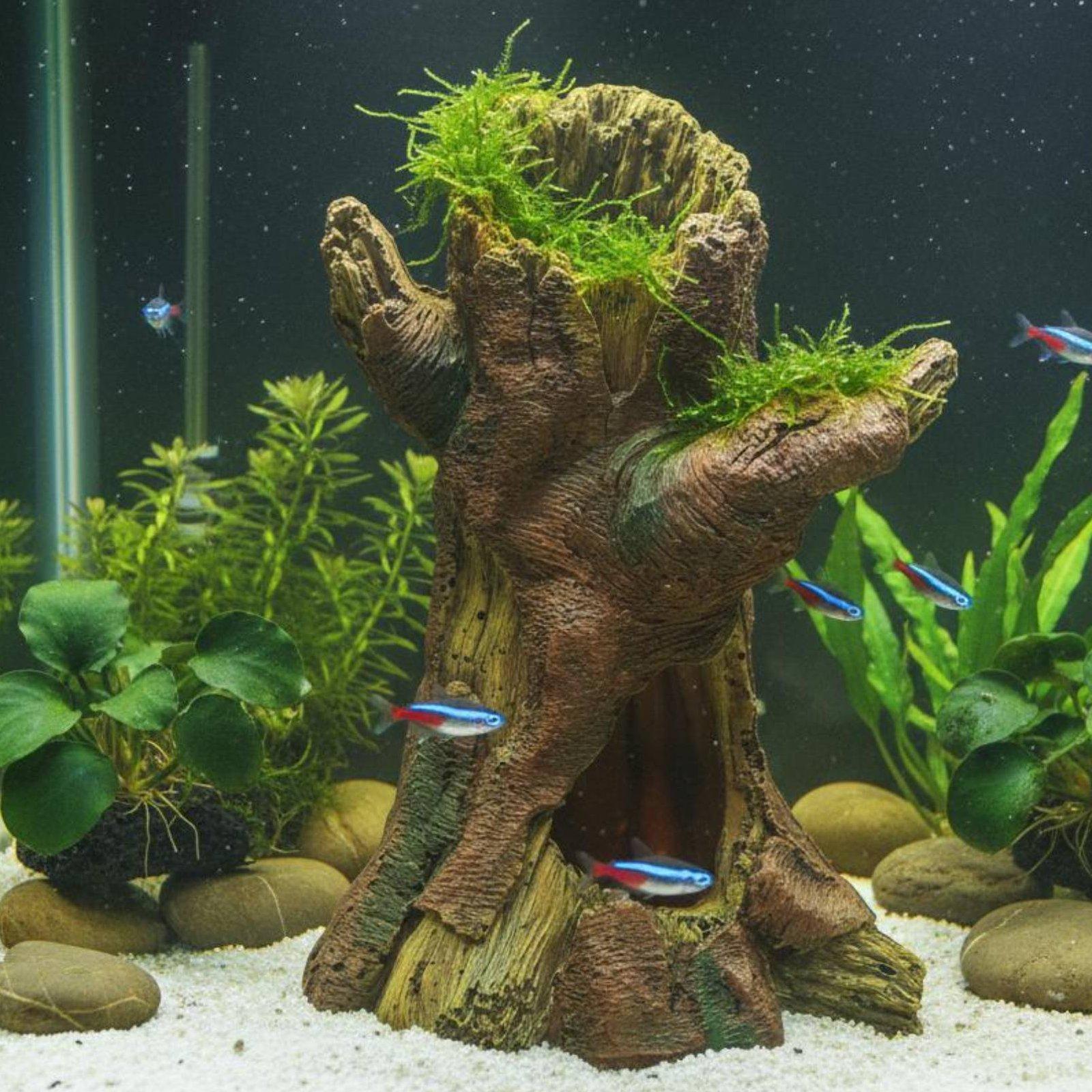Dekorasi Lanskap Akuarium, Dek - Aquarium Decor ulasan dan harga
