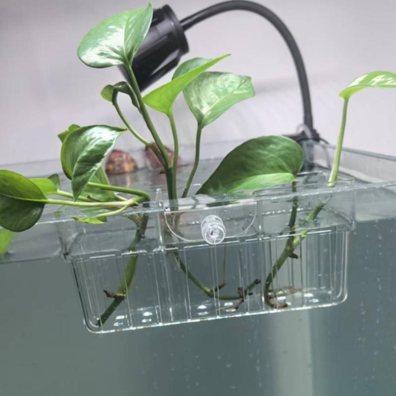 Keranjang Tanaman Hidroponik,  - Aquarium Decor ulasan dan harga