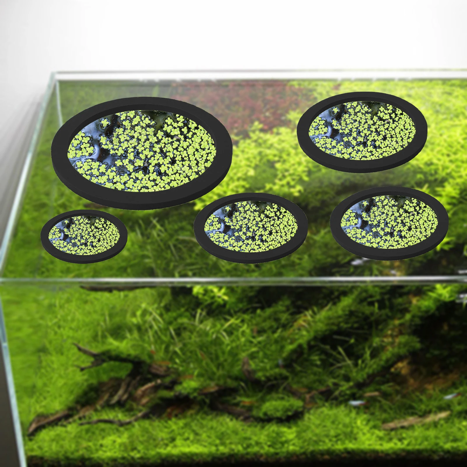 5 buah EVA cincin pemberi maka - Fish Aquarium Home ulasan dan harga