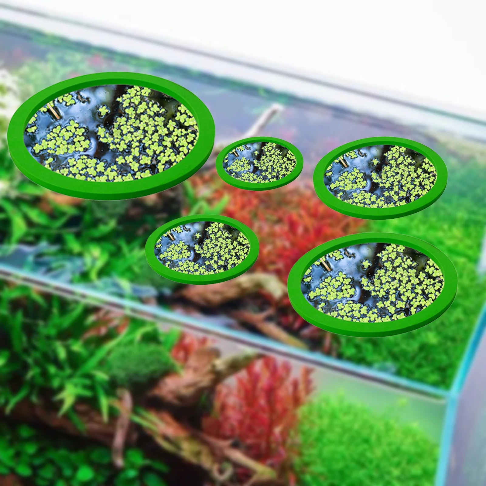 5 buah EVA cincin pemberi maka - Fish Aquarium Home ulasan dan harga