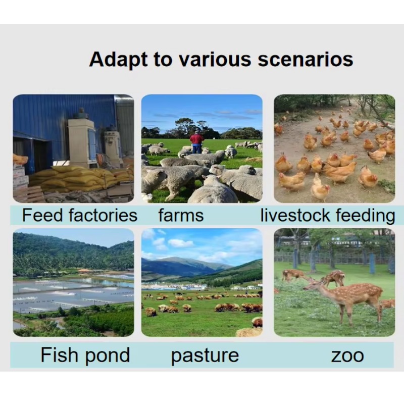 Mesin Ekstruder Pakan Anjing K - Fish Food ulasan dan harga