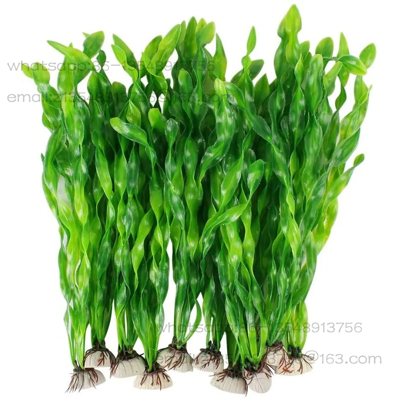 5/10 Buah Tanaman Akuarium Pla - Aquarium Plants ulasan dan harga