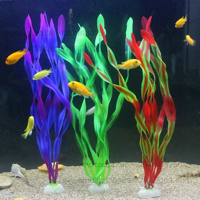 5/10 Buah Tanaman Akuarium Pla - Aquarium Plants ulasan dan harga