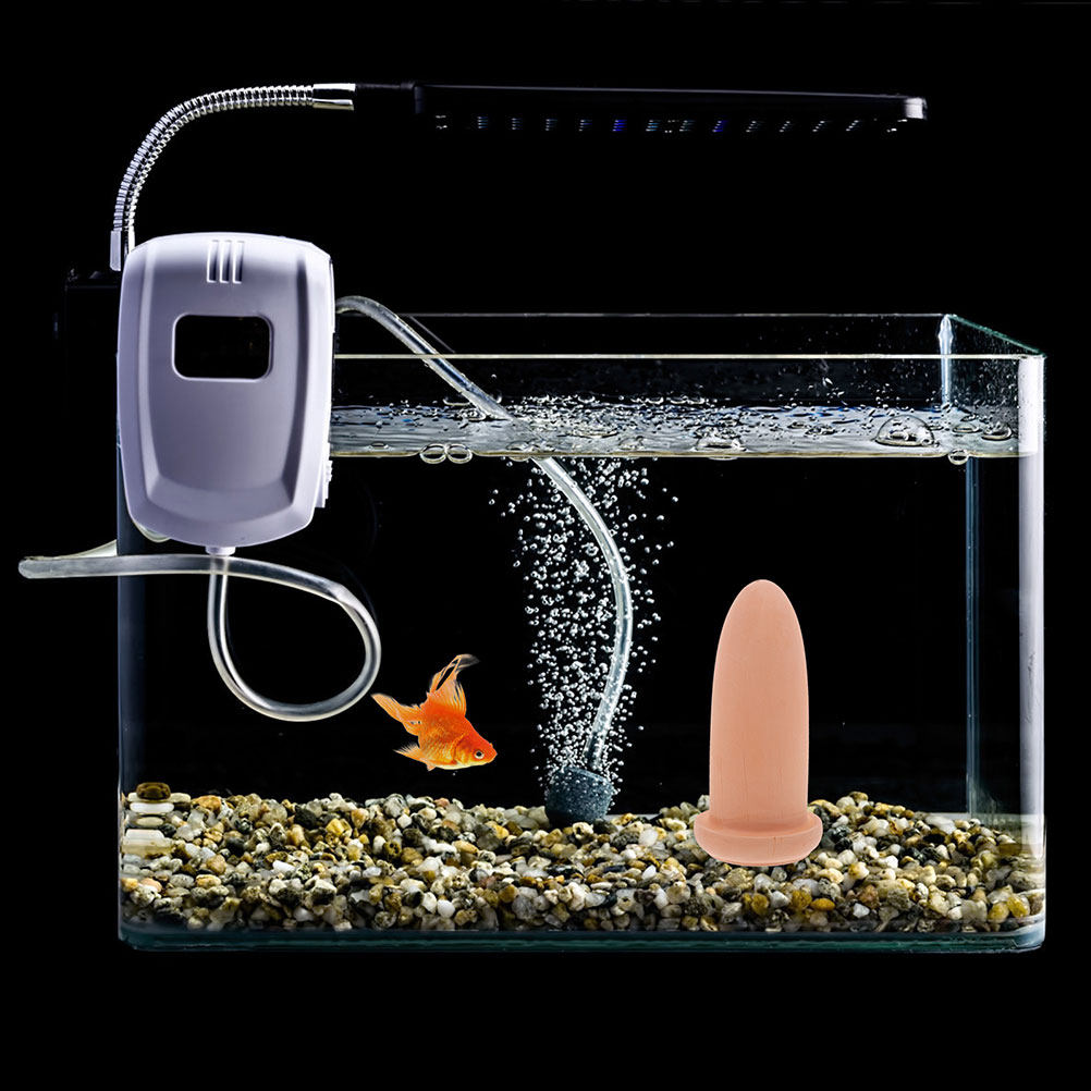 Perlengkapan untuk Perkembangb - Aquarium Decor ulasan dan harga