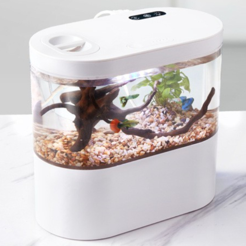 Akuarium Mini Desktop Kreatif  - Betta Fish Tank ulasan dan harga